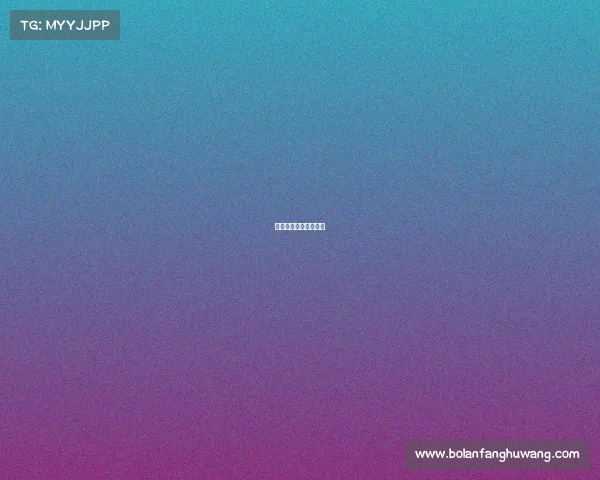 德国足球各项赛事时间